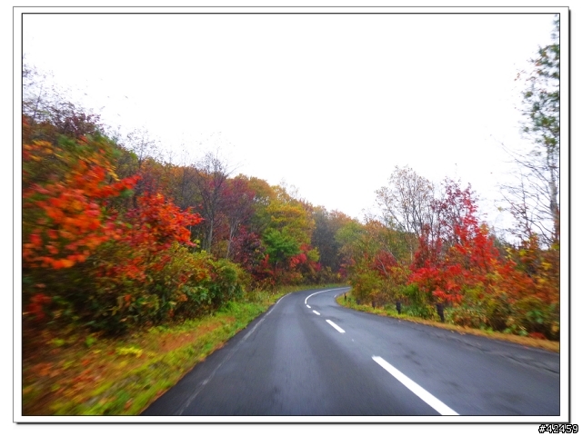 [SKYWAVE TYPE-S]福島縱斷紅葉之旅
