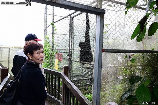獨角仙農場：旅遊開心，但隨時都要很小心。