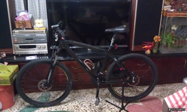 最近迷上了騎單車