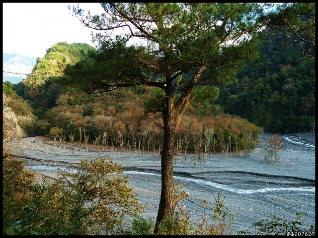 2012.12.24-25_奧萬大賞楓、觀瀑野營趣！