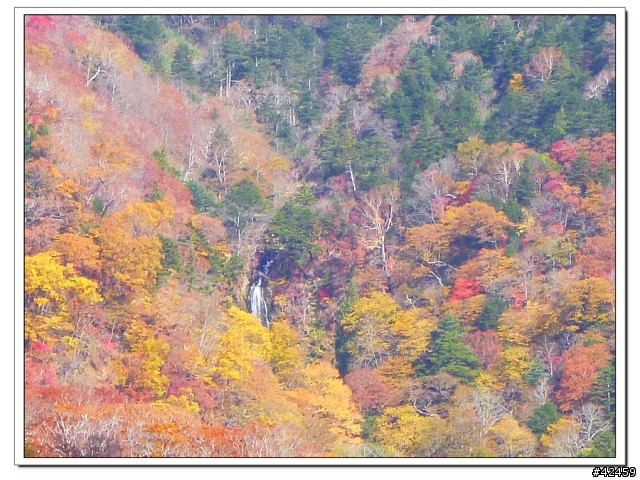 [SKYWAVE TYPE-S]福島縱斷紅葉之旅
