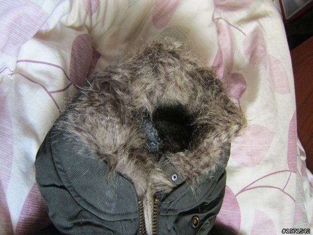 "簡易開箱" Superdry Alpine Bomber {附實穿}