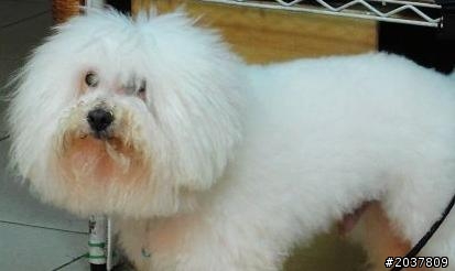 2012年末~來推薦好吃的店吧！