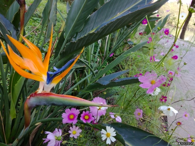 年底休假之920日拍小測(補動畫圖片gif下載連結)