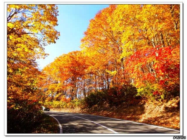 [SKYWAVE TYPE-S]福島縱斷紅葉之旅
