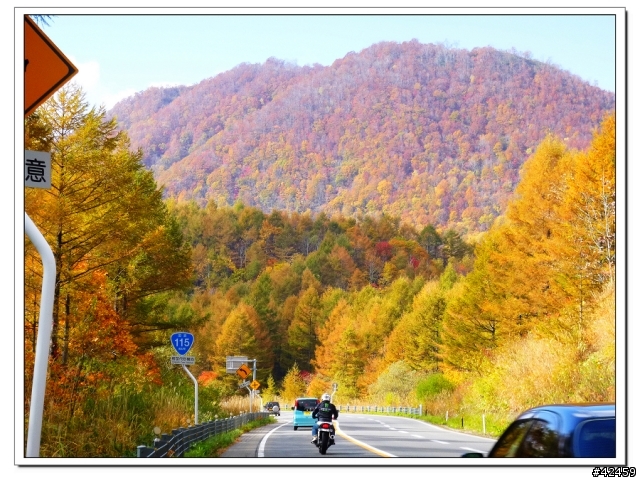 [SKYWAVE TYPE-S]福島縱斷紅葉之旅
