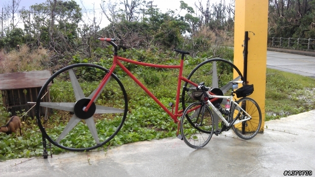 瘋台東 單車背包客的15 Days