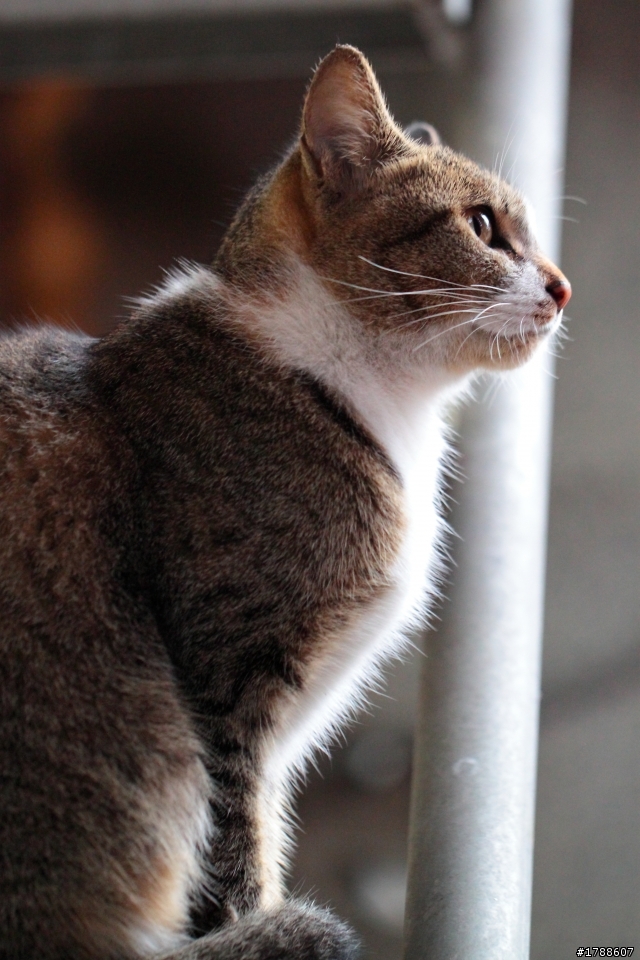 20121209 - 侯硐