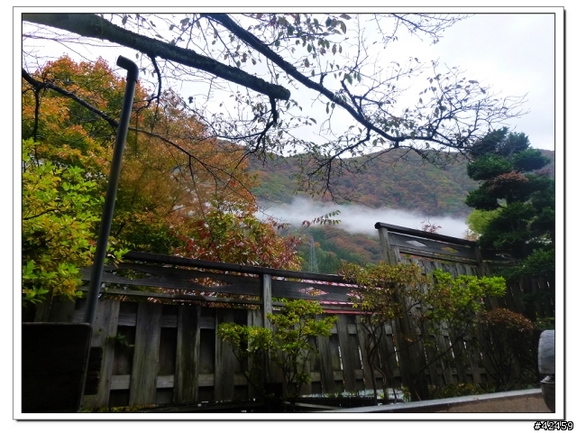 [SKYWAVE TYPE-S]福島縱斷紅葉之旅