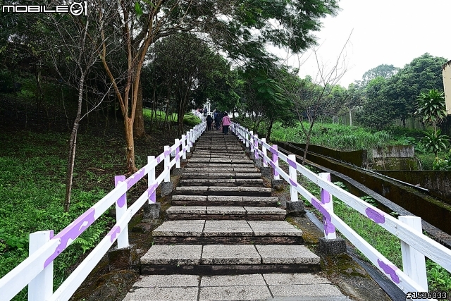 獨角仙農場：旅遊開心，但隨時都要很小心。