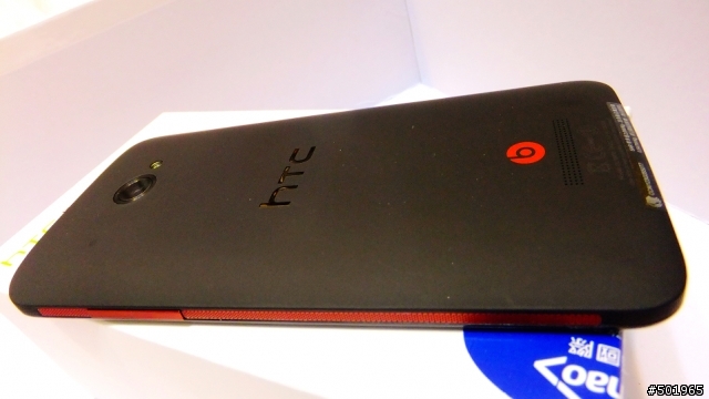 黑蝴蝶終於飛到我家了!!!