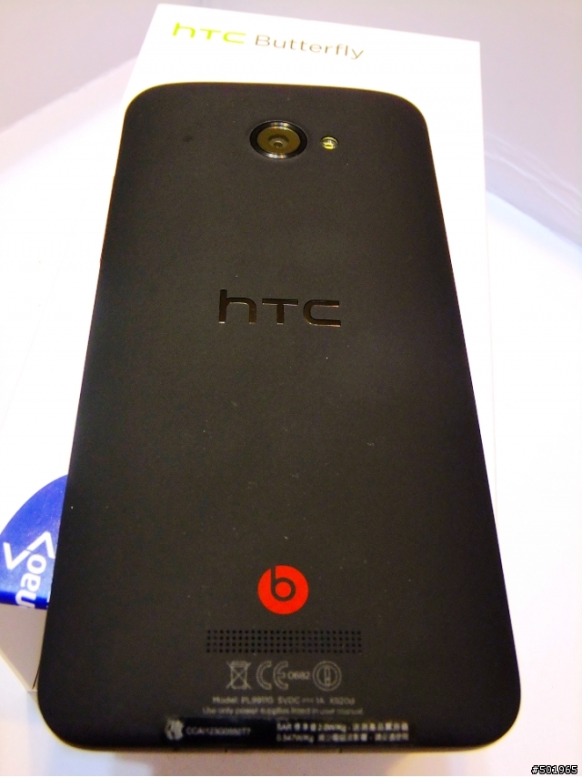 黑蝴蝶終於飛到我家了!!!