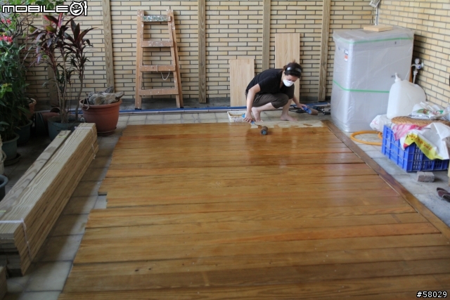 DIY 南方松圍籬
