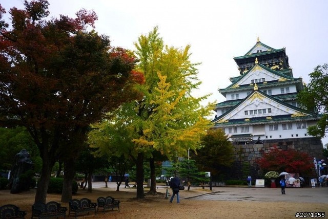 【分享】 Day3 大阪城 + 通天閣 + 梅田空中庭園  <圖多，慎入>