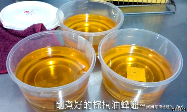 蜂蠟製作DIY