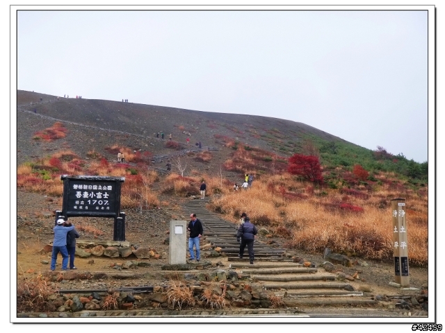 [SKYWAVE TYPE-S]福島縱斷紅葉之旅