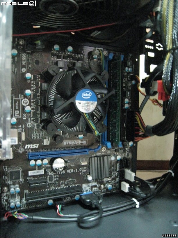 COUGAR 5SS7 核彈頭 歲末引爆 !!