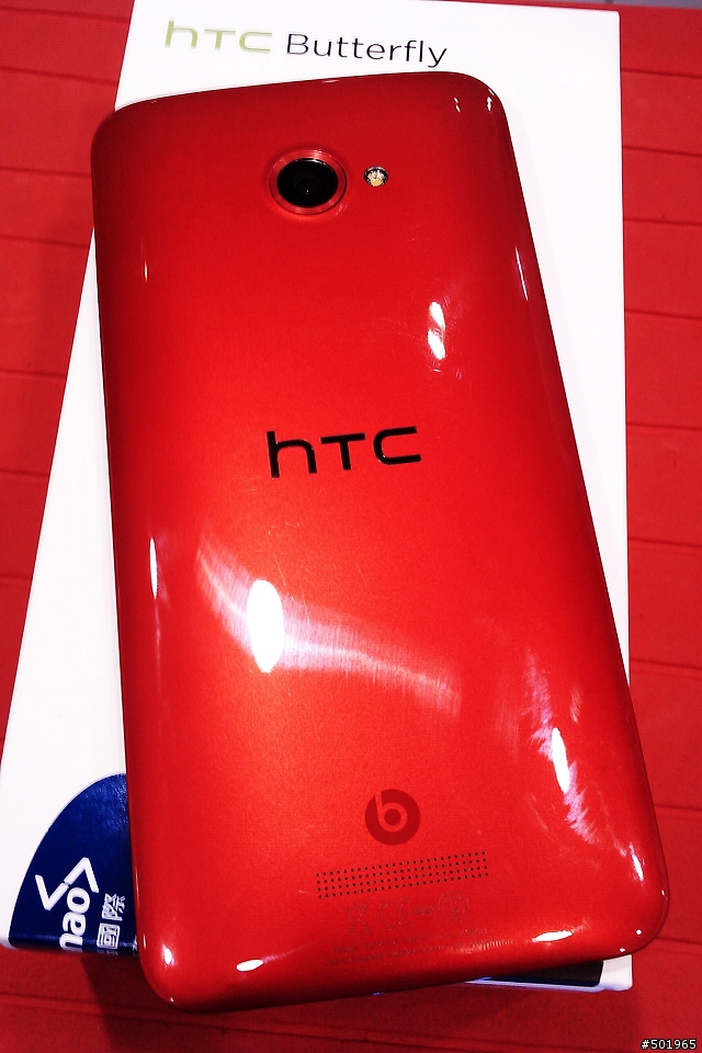 黑蝴蝶終於飛到我家了!!!