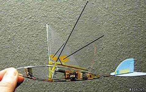 美軍最新公佈一種昆蟲大小的“大黃蜂無人機”  micro air vehicle (MAV) ??