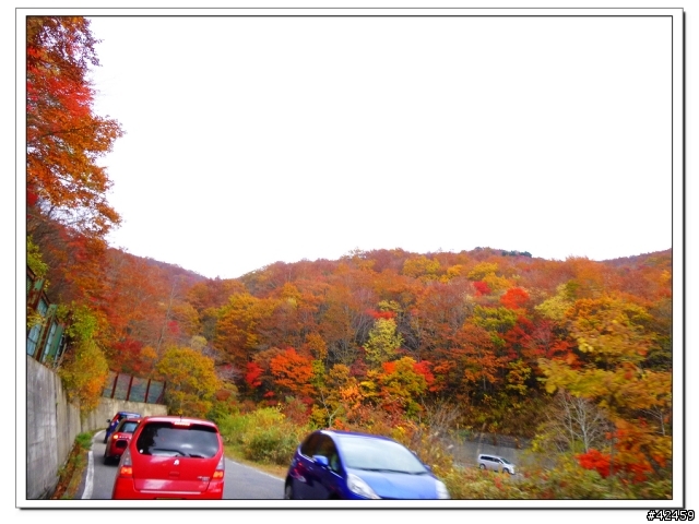 [SKYWAVE TYPE-S]福島縱斷紅葉之旅