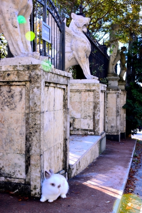 帶著孩子去旅行