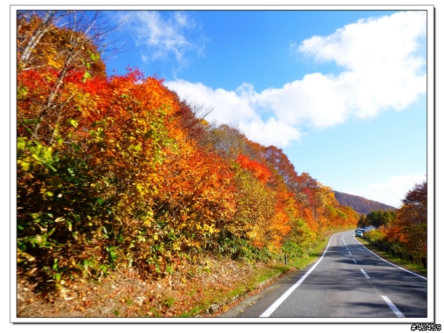 [SKYWAVE TYPE-S]福島縱斷紅葉之旅