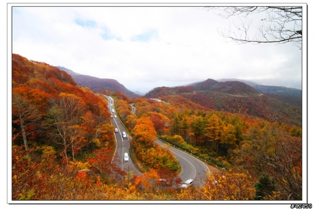 [SKYWAVE TYPE-S]福島縱斷紅葉之旅