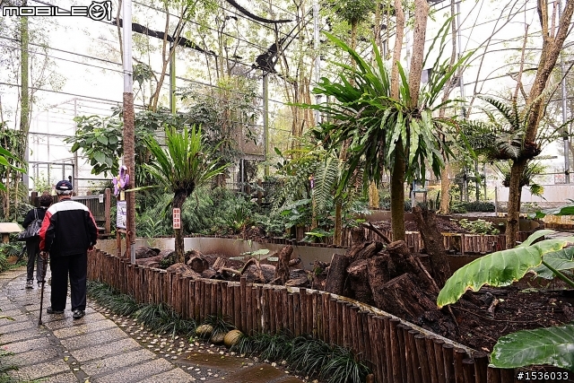 獨角仙農場：旅遊開心，但隨時都要很小心。