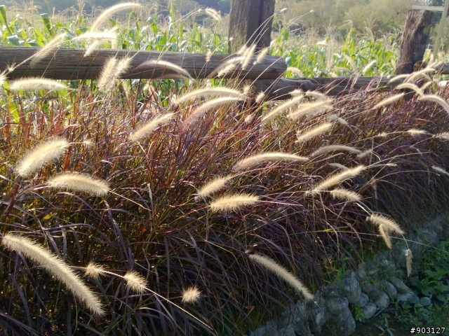 年底休假之920日拍小測(補動畫圖片gif下載連結)