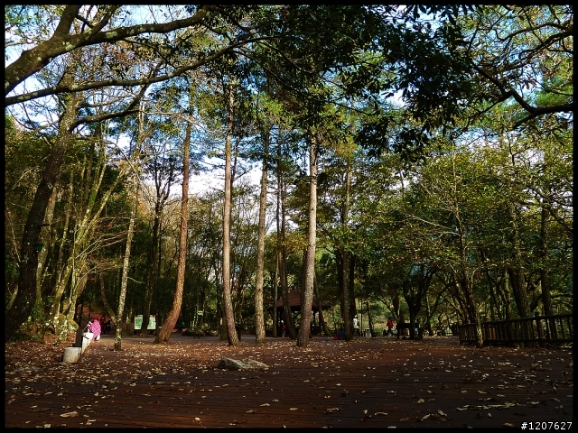 2012.12.24-25_奧萬大賞楓、觀瀑野營趣！