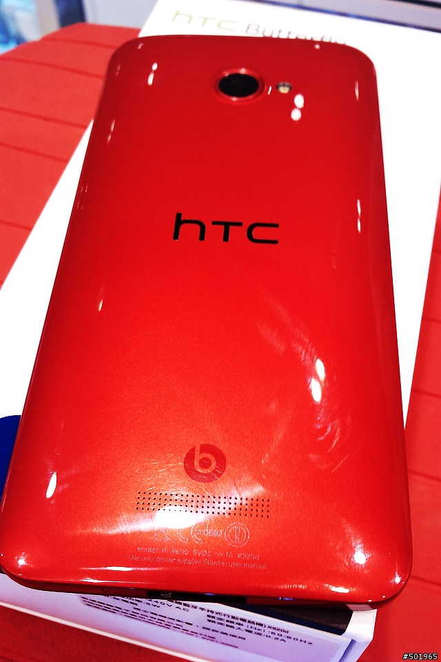 黑蝴蝶終於飛到我家了!!!