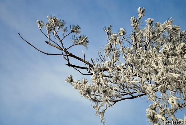 銀白大陸全攻略 - 雪景拍攝小撇步