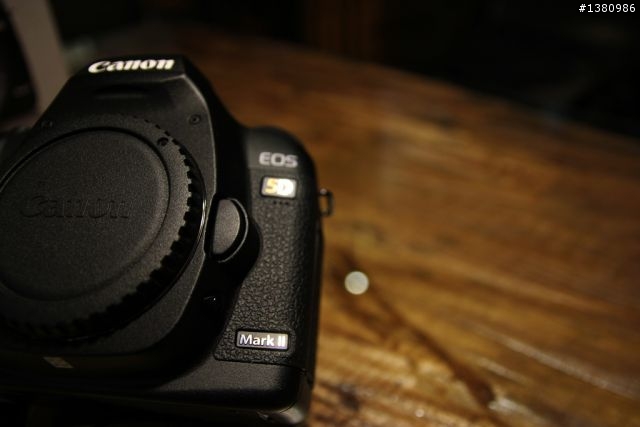 SIGMA 35mm 七日後
