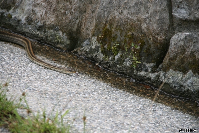 (9/18~9/28) (帶著草泥馬)10天9夜四極點加地理中心環島 - DAY10 大完結