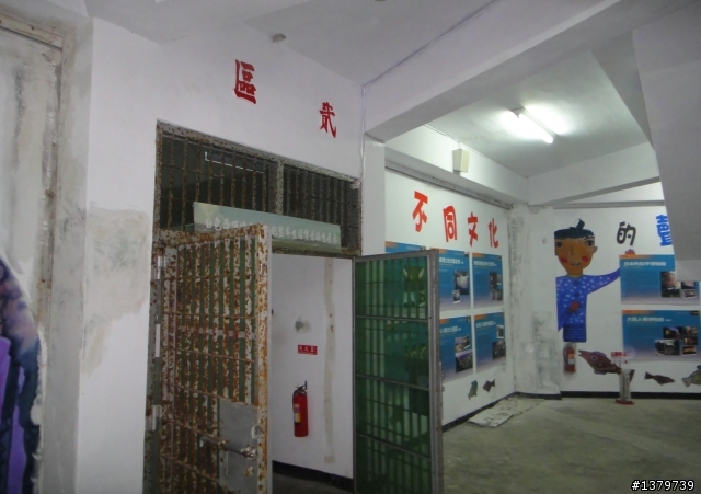 瘋台東 單車背包客的15 Days