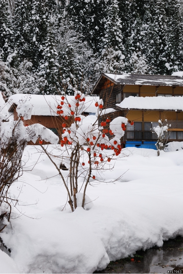 [冬之日本中部山區自助行]-夢幻童話小屋~合掌村(荻町/菅沼聚落)照片分享