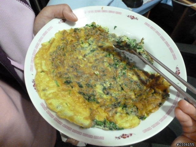 香菜(芫荽)的成長日記