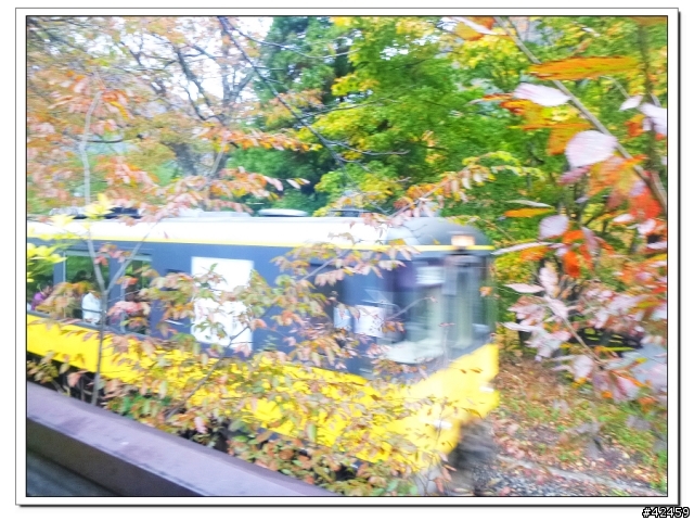[SKYWAVE TYPE-S]福島縱斷紅葉之旅
