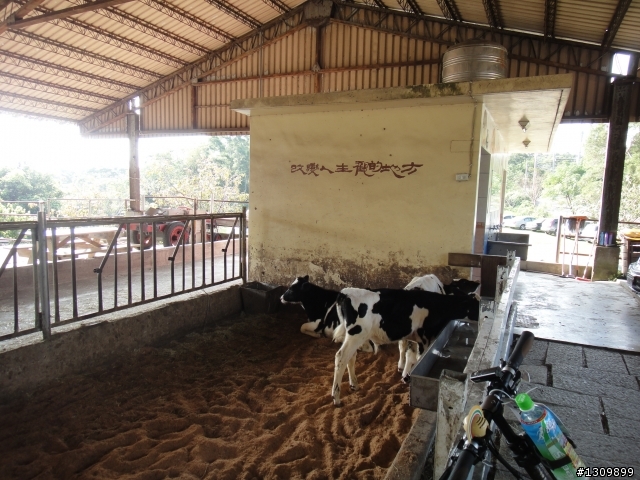 2012建大杯八卦山鐵馬逍遙遊