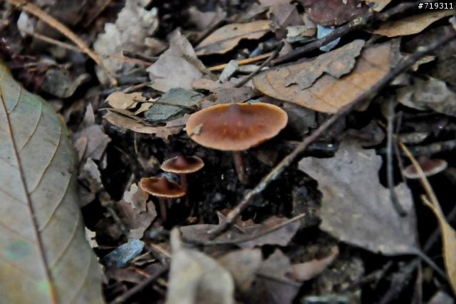 【遊記】101.12.15-16 台東祕境之湯~栗松溫泉.......圖爆多!!小心服用!!