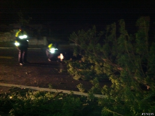 有人騎車被樹壓到過嗎？可以申請國賠嗎？