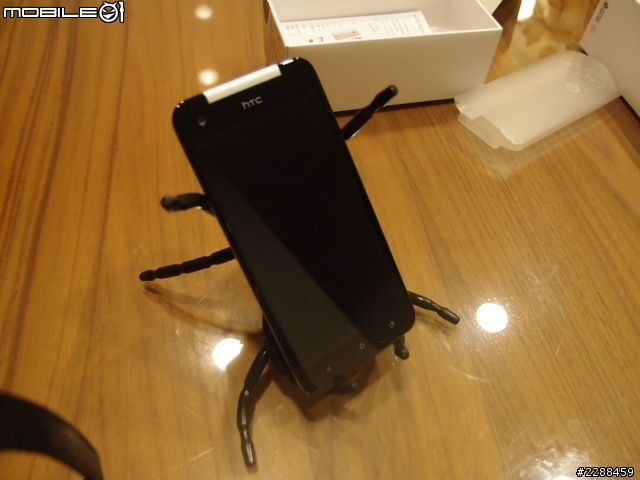 來自天母SOGO的白蝴蝶