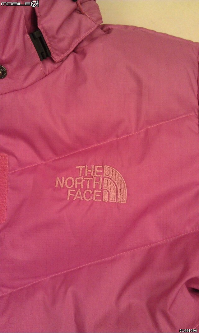 請問TNF LOGO顏色問題!