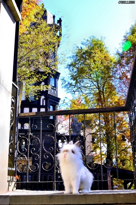 帶著孩子去旅行