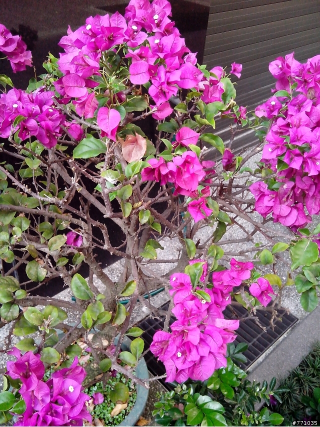 [偽開箱]雙卡雙待的好手機 ACER E350