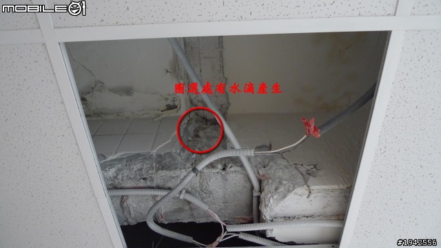 頂樓漏水保固 賠償