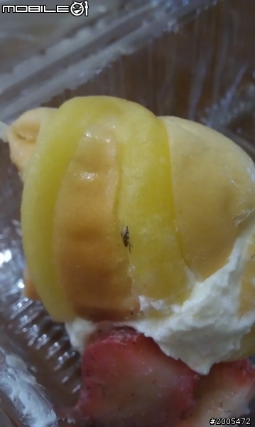 噁!方師傅草莓船有蟲!!!