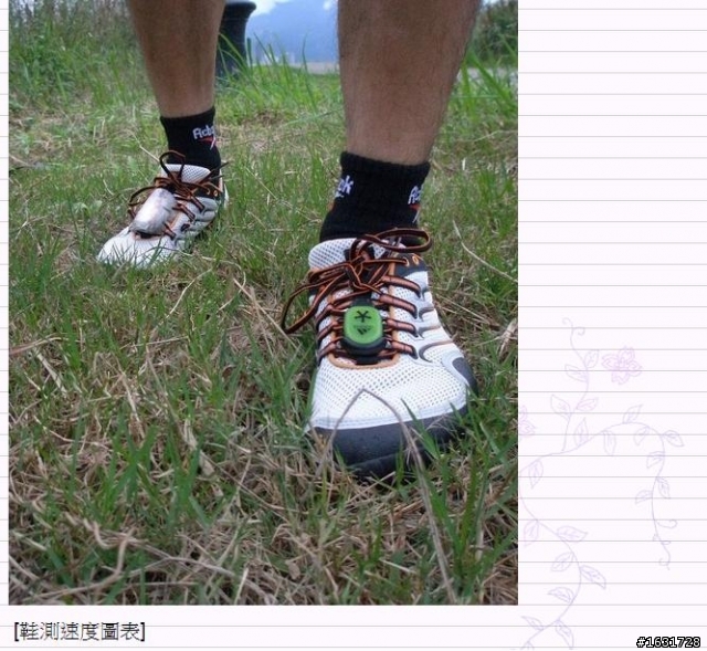 MERRELL TRAIL GLOVE 赤足跑鞋 測試報告