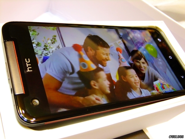 黑蝴蝶終於飛到我家了!!!