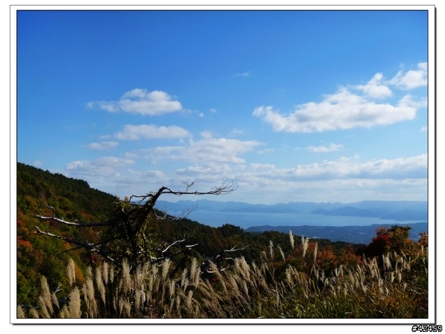 [SKYWAVE TYPE-S]福島縱斷紅葉之旅